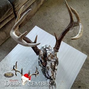 Meet your Posher, Edward